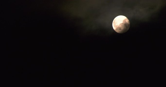 Swiftly flying clouds close and open the full moon and treetops under it. Horror and anxiety. Full Moon Night Storm Atmosphere.