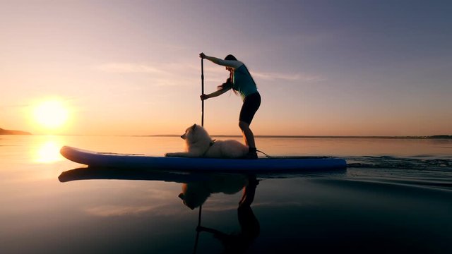 Sunset waters with a young woman doing SUP with her dog