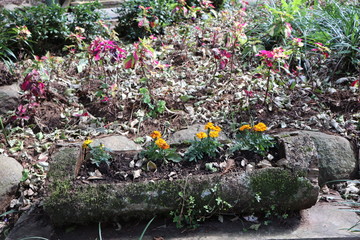 The charms of Aldeia do Imigrante Park one of the main tourist spots of Nova Petr&oacute;polis. It was created to rescue and preserve the historical past of the immigrants who colonized this region.