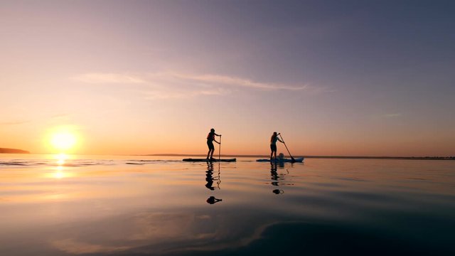 Stand-up paddleboarding of a boy, a woman and a dog