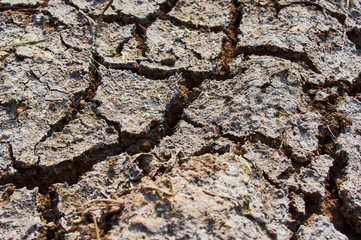 The image of dry and cracked ground that reminds of global warming
