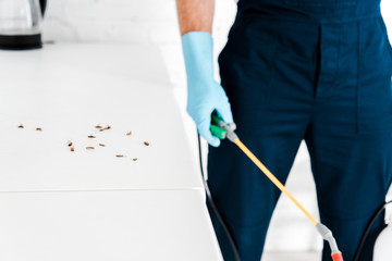 cropped view of exterminator holding toxic equipment with spray near cockroaches