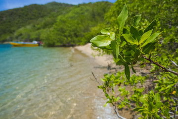 Beautiful view of the beach in the park tayrona - santa marta