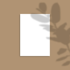 Shadow Overlay Plant Vector Mockup A4 Paper sheets. Shadows overlay effects Of A leaf on brown background in a modern minimalist style. For presentation Flyer, Poster, blank, logo, invitation