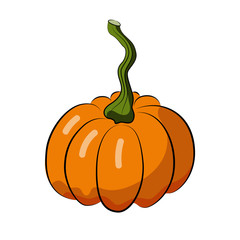Pumpkin. Orange vegetable. Harvest Festival. Autumn harvest.