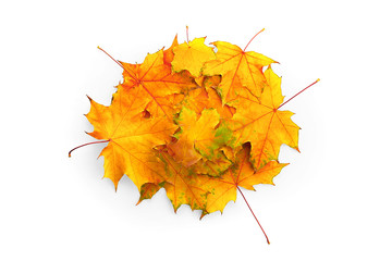 Autumn leaves on white background, isolated. High resolution