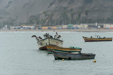 Fototapeta premium chorrillos