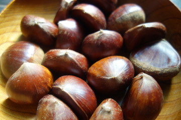 たくさんの栗の実