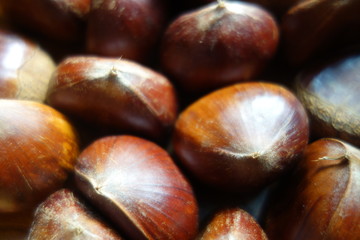 たくさんの栗の実