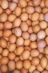 varoius brown eggs fresh from farm