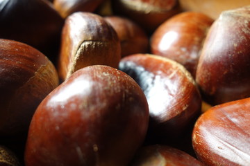 たくさんの栗の実