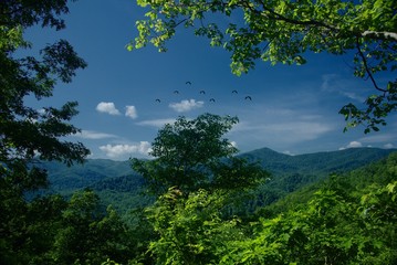 Obraz premium Birds flying in distance in mountains