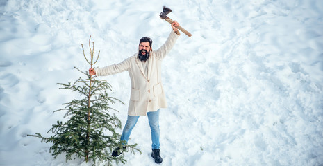 Excited lumberjack bears fir tree in the white snow background. Funny Santa man posing with axe and...