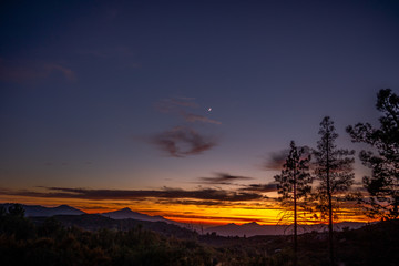 Moon rise over lonely pines during orange sunset in Los Angeles Mountains