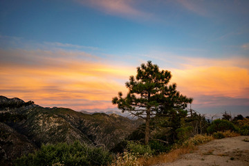 Orange and Peach clouds over Peachy clouds over lone pine tree and chaparral San Gabriel mountains in Southern California