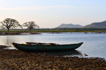 Boat and birds in Tissa Wewa lake with Indian rain trees in the background, Tissamaharama, Sri Lanka