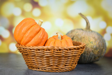 Pumpkin in the basket - Pumpkin decorate holiday season autumn with bokeh background