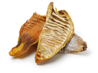 Dry young bamboo shoot on white background