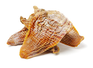 Dry young bamboo shoot on white background