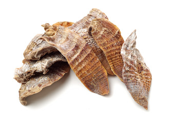 Dry young bamboo shoot on white background