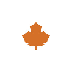 Fototapeta premium Stylized Autumn Maple Leaf Foliage logo