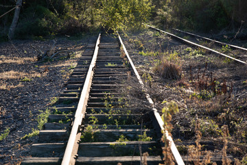 Railroad tracks 1