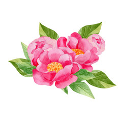 bouquet of  peony flowers isolated on white background