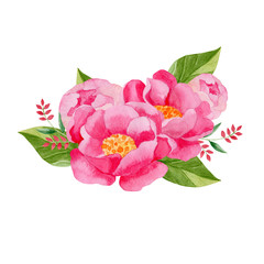 bouquet of  peony flowers isolated on white background
