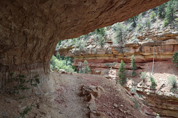 Under Rock Overhang of Cliff Spring Trail Grand Canyon