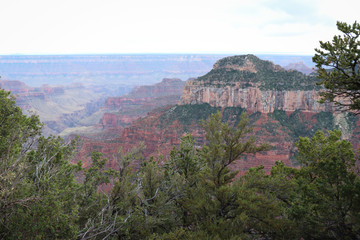 Fototapeta na wymiar Grand Canyon View from Bright Angel Point