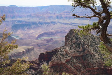 View of the Colorado River in the Grand Canyon