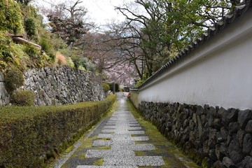 白壁の坂道