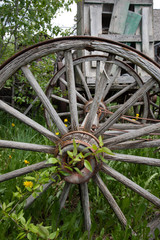 Two old wooden wheels in tall grass with an old building behind
