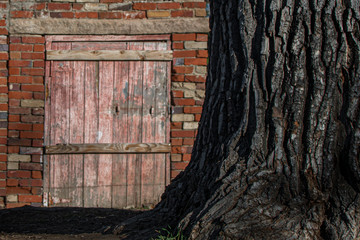A red door in a red brick wall next to a large cottonwood tree