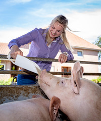 Junge Landwirtin füttert liebevoll die Schweine 
