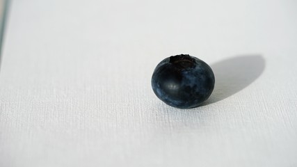 macro view on fresh blueberry on white background