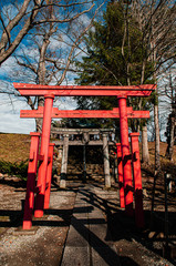 Fototapeta na wymiar Aizu Wakamatsu Tsuruga Jo Castle Inari shrine red Torii. Fukushima - Japan