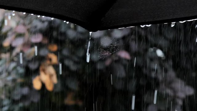 Raindrops falling from dark umbrella against dark background