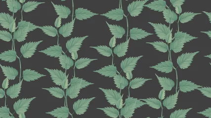 Foto auf Glas Foliage seamless pattern, green leaves on dark grey, pastel vintage theme © momosama