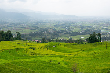 Fototapeta na wymiar Terraced Rice Fields on a Hillside