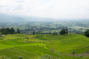 Obraz premium Terraced Rice Fields on a Hillside