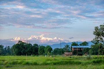 Rural Farmland Setting