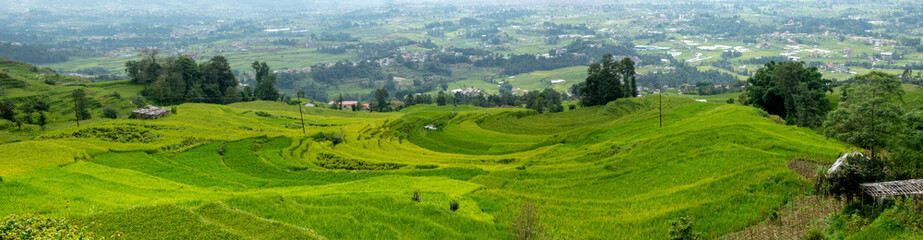 Fototapeta na wymiar Terraced Rice Fields on a Hillside
