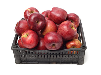 Red apples isolated on white background