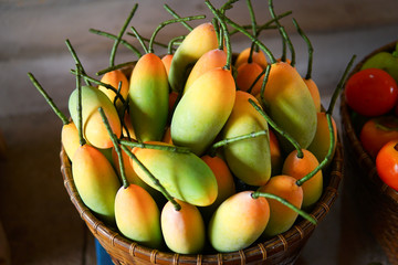 Colorful Fake fruit for sale.