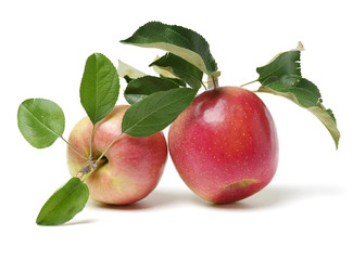 Red apples isolated on white background