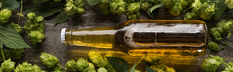 top view of fresh beer in bottle with green hop on wooden background, panoramic shot