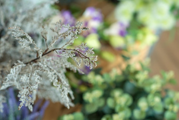 Beautiful flowers for home decor