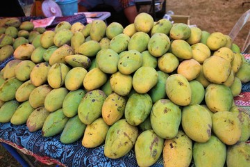 Mango, yellow fruit, delicious meat, sweet flavor