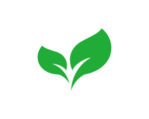 Leaf icon symbol vector